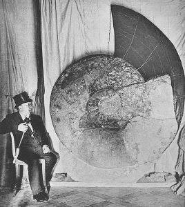 Ammonites gigantes. Parapuzosia seppenradensis tal como fue presentada por Hermann Landois