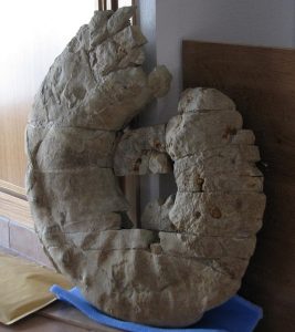 Ammonites gigantes. Detalles ornamentales de posible Anapuzosia sp