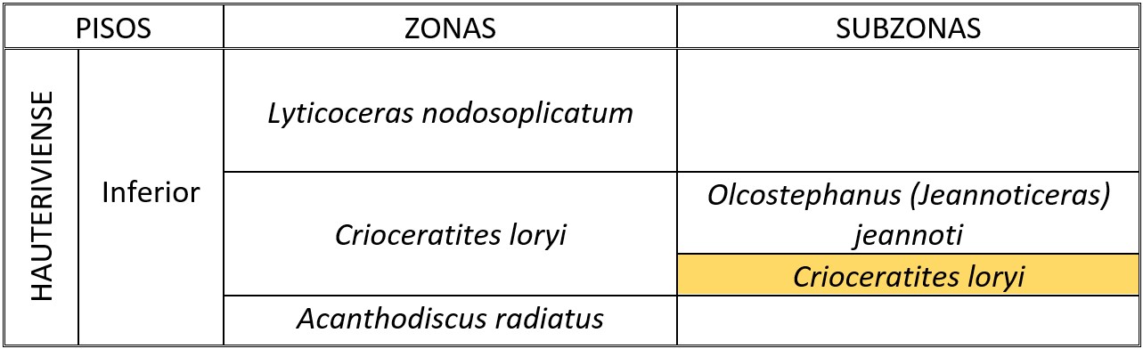 Zona y Subzona Loryi (Hauteriviense inferior)