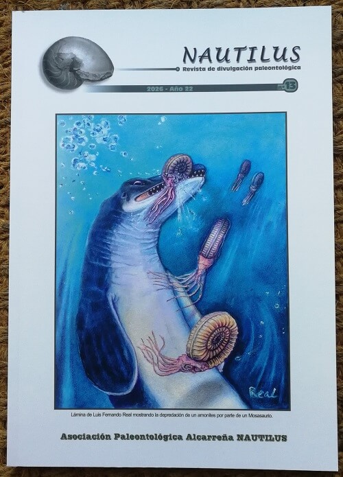 Portada revista 13 asociación paleontológica Alcarreña Nautilus
